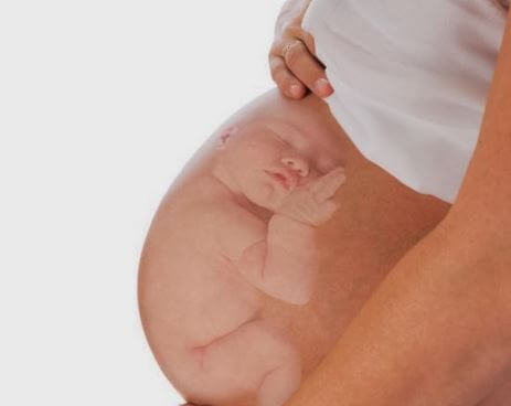 hamile anne karnında bebek görüntüsü