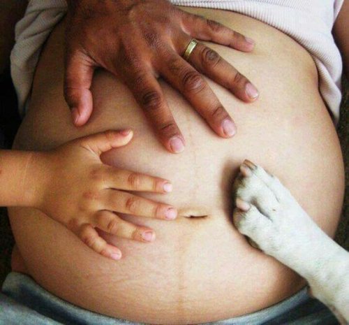 hamile anne karnında köpek patisi