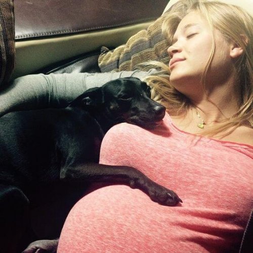 hamile kadın ve köpek uyurken