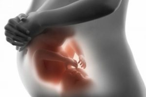 Bebeğinizin Rahminizde Ne Yaptığını Öğrenin