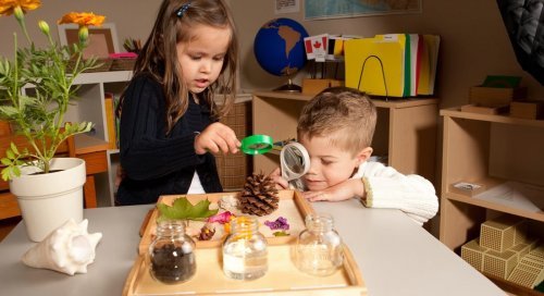 Montessori Keşif