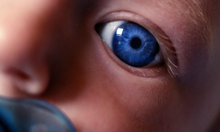Seni İzliyorum Anneciğim: Yeni Doğmuş Bir Çocuk Sizi Keşfederse