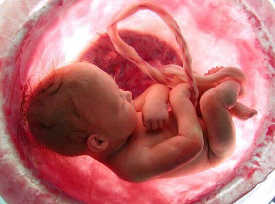 Hamilelikle İlgili Çok Şaşırtıcı 7 Bilgi