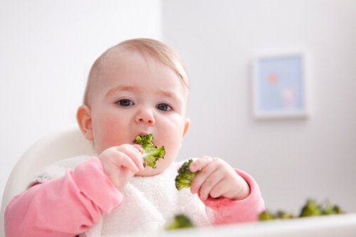 brokoli yiyen bebek