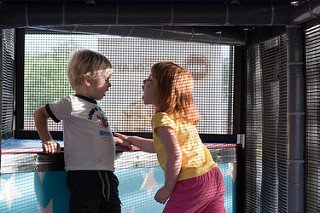 erkek kardeşine bağıran kız çocuk