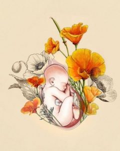 Seni İlk Kalp Atışından Beri Seviyorum