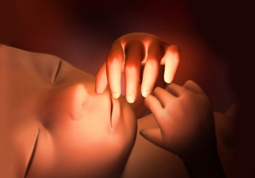 hamileliğin 25. haftası