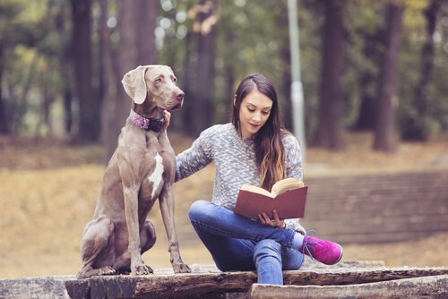 köpeğiyle kitap okuyan kız