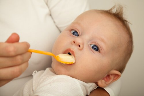 Bebeğinizi Katı Gıdalar ile Beslemeye Ne Zaman ve Nasıl Başlamalısınız?