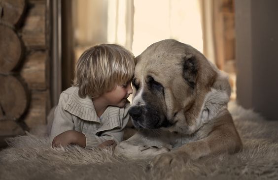 çocuk ve köpek