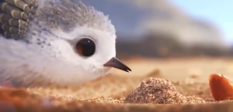 3 kısa çocuk filmi