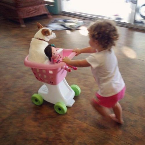 köpekle koşan çocuk