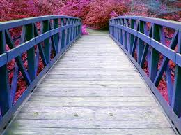 Renkli köprü