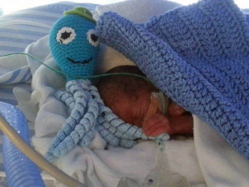 ahtapot bebek