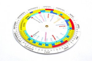 Gestogram: Nedir ve Nasıl Kullanılır?