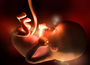 Gebeliğin 12. Haftası