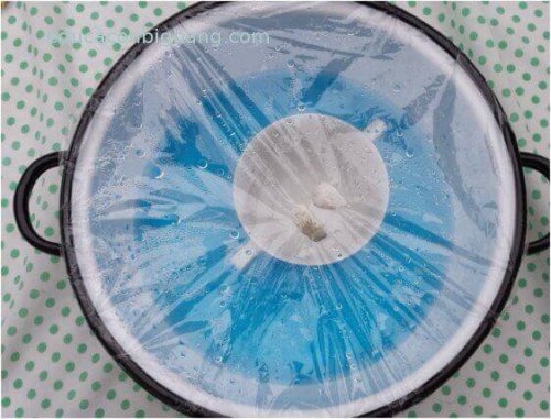 su döngüsü deneyi