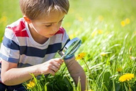 Büyüteçle çiçeklere bakan çocuk