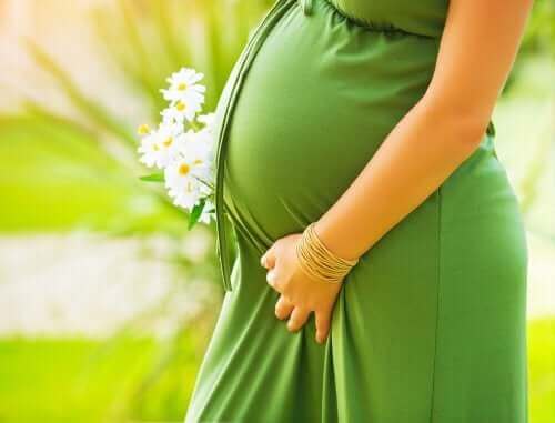 Hamile Kadınlar İçin Besin Takviyeleri