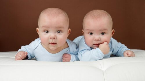 kameraya bakan ikiz bebekler