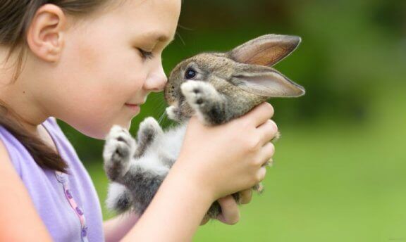 Yavru tavşan ile oynayan çocuk