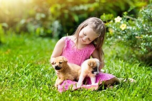 Kücük kız çayırda yavru köpeklerle onuyor