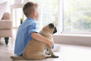 Terapi Hayvanları Çocuklara Nasıl Yardım Edebilir?