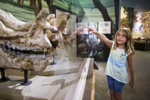 Müzede dinozorlar bölümünü gezen çocuk