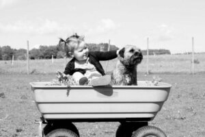 Araba içindeki bebek ve köpek