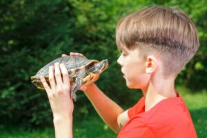 Kaplumbağa Tekniği ve Çocuklarda Özgüven