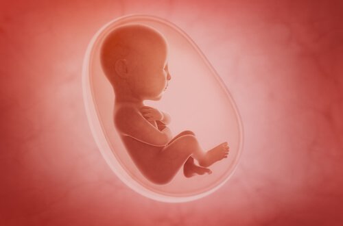 babypod ve fetüse yararları