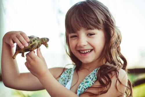 Kız çocuğu ve kaplumbağa