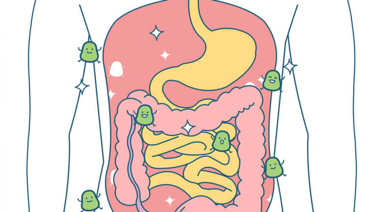 Fekal Transplantasyon Nedir?