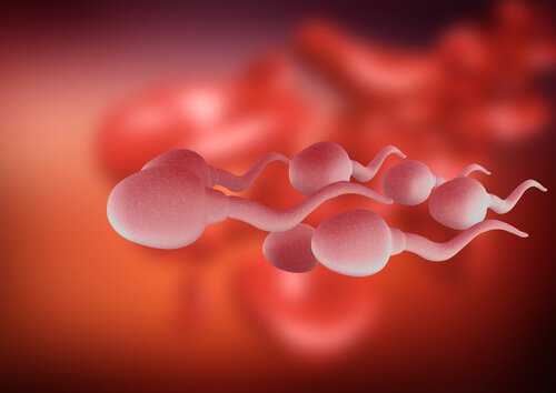 sperm hareketliliği