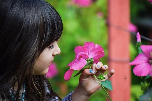 Çocuklar İçin Botanik Dersleri: Bu İpuçları İşinize Yarayacak