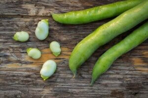 Favizm Hastalığı: Belirtileri Ve Tedavisi