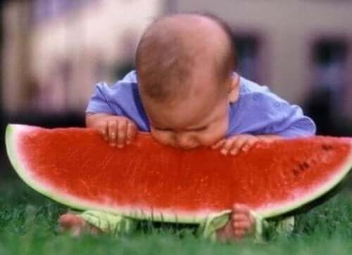 Katı Gıdalar ve Bebeklerin Beslenmesi