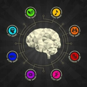 Zeka türleri görseli