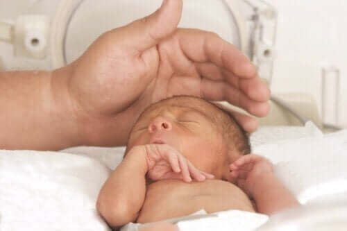 Prematüre Bebeklerde Sindirim Sorunları