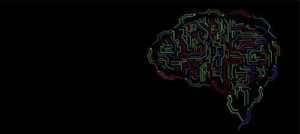 Zeka Kavramı ve Gelişimi