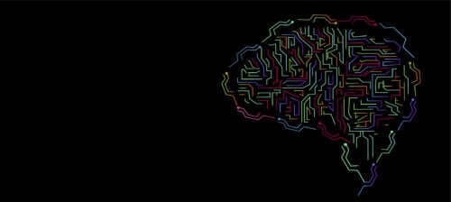 Zeka Kavramı ve Gelişimi