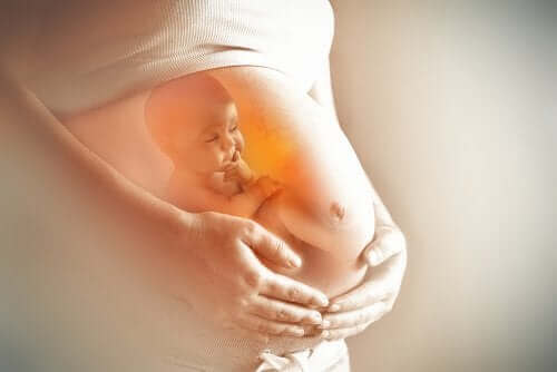 amniyotik sıvı hamile kadın bebek