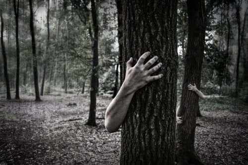 ağaca sarılmış eller
