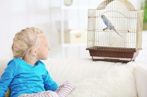 Çocukların Evcil Hayvan Sahiplenmesinin Avantajları