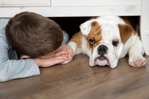 Köpeğinin elini tutan çocuk