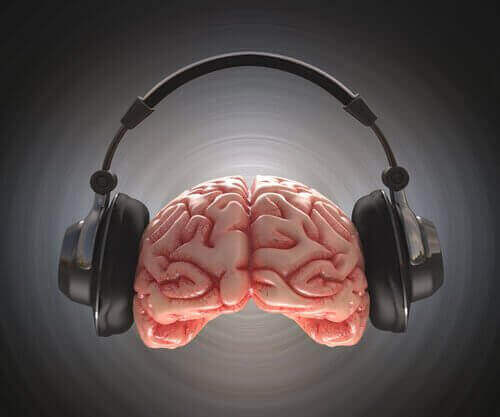 müzik zeka ilişkisi
