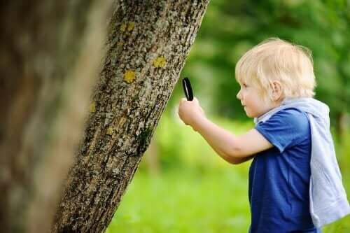 ağaç büyüteç çocuk