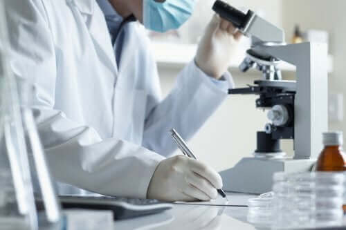 Preimplantasyon Genetik Tanı Nedir?