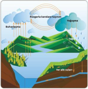 su döngüsü çizim