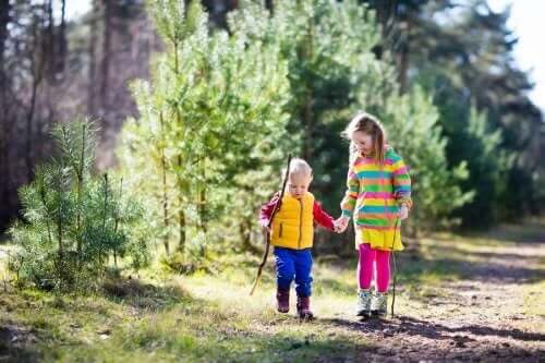 yürüyüş orman iki çocuk 